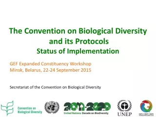 The Convention on Biological Diversity  and its Protocols Status of  Implementation