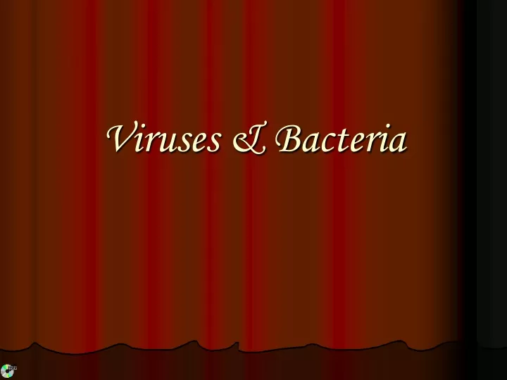 viruses bacteria