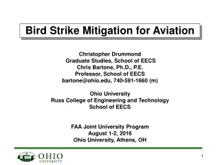 Bird Strike Mitigation for Aviation