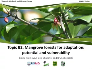 Climate change in mangrove socio-ecological systems Part 1: climate change impacts on mangroves