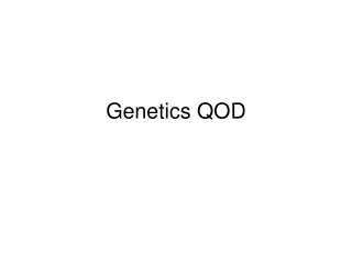 Genetics QOD