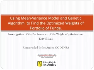 Investigation of the Performance of the Weights Optimization. David Lai