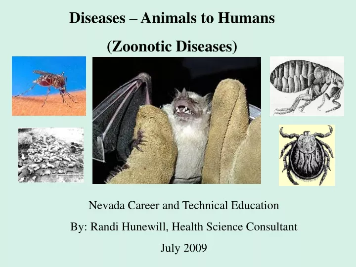diseases animals to humans zoonotic diseases