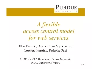 A flexible access control model  for web services