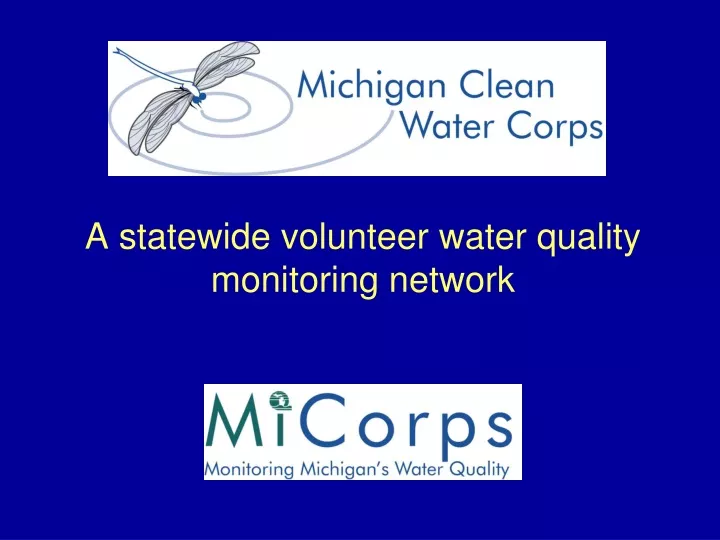 a statewide volunteer water quality monitoring network