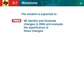 KEY CONCEPT  Mutations are changes in DNA that may or may not affect phenotype.