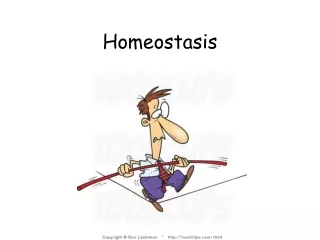 Homeostasis