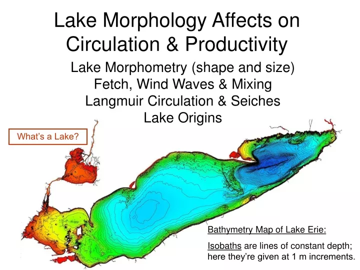 lake morphology affects on circulation productivity