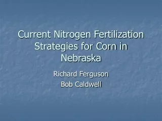 Current Nitrogen Fertilization Strategies for Corn in Nebraska