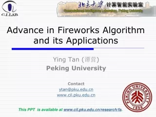 Advance in Fireworks Algorithm  and its Applications