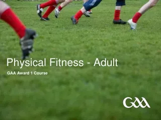Physical Fitness - Adult