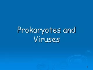 Prokaryotes and Viruses