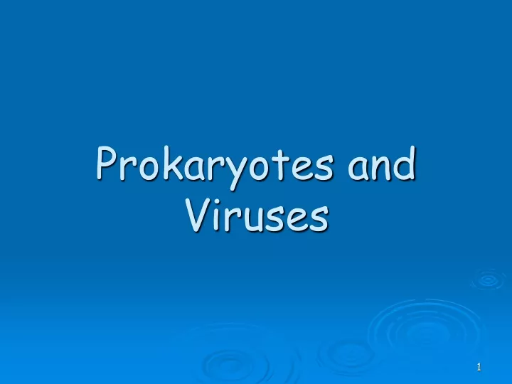 prokaryotes and viruses