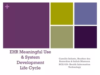 EHR Meaningful Use &amp; System Development  Life Cycle