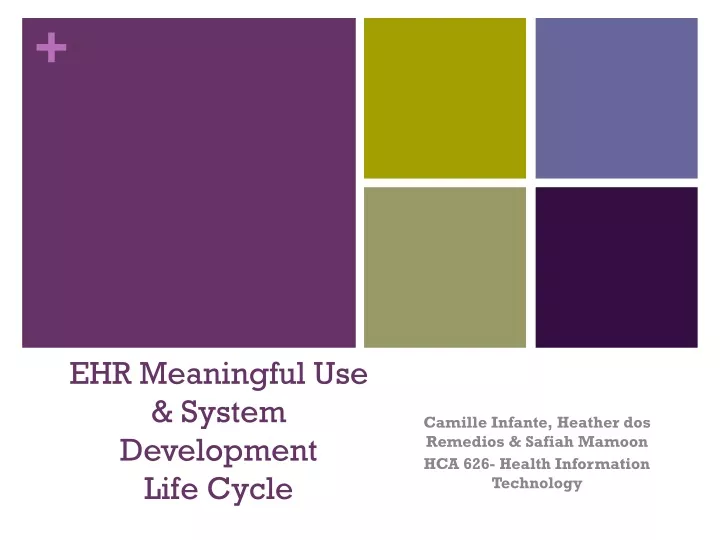ehr meaningful use system development life cycle