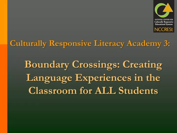 culturally responsive literacy academy 3 boundary