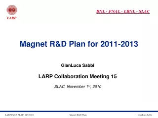 Magnet R&amp;D Plan for 2011-2013
