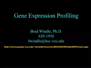 Gene Expression Profiling Brad Windle, Ph.D. 628-1956 bwindle@hsc.vcu