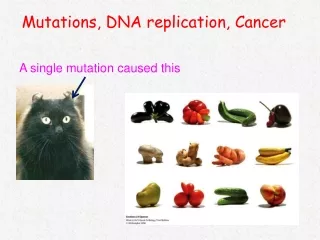 Mutations, DNA replication, Cancer