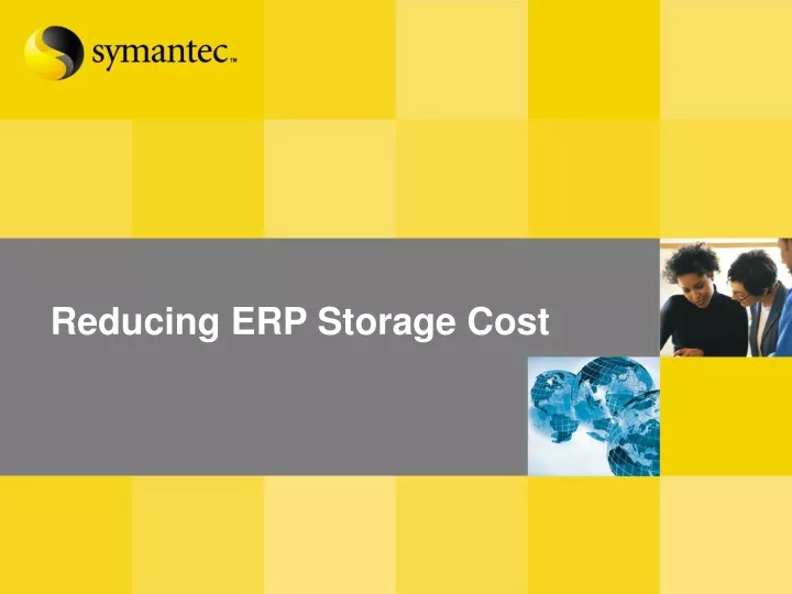 reducing erp storage cost
