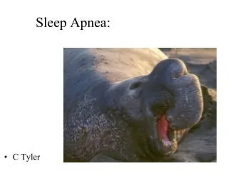 Sleep Apnea: