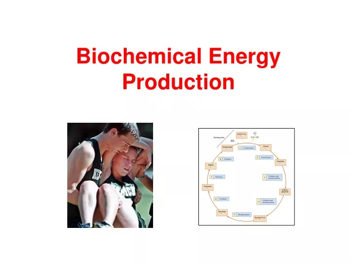 biochemical energy production