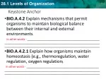 Maintaining Homeostasis: Mechanisms and Systems Explanation - slide 1