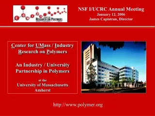 C enter for  UM ass /  I ndustry  R esearch on  P olymers An Industry / University