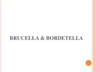 BRUCELLA &amp; BORDETELLA