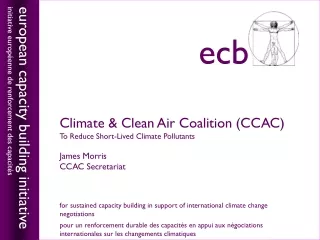 Climate &amp; Clean Air Coalition (CCAC) To Reduce Short-Lived Climate Pollutants James Morris