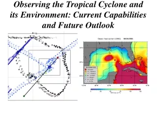 Observing the Tropical Cyclone and its Environment: Current Capabilities and Future Outlook