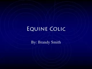 Equine Colic