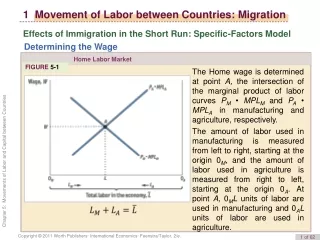 1  Movement of Labor between Countries: Migration