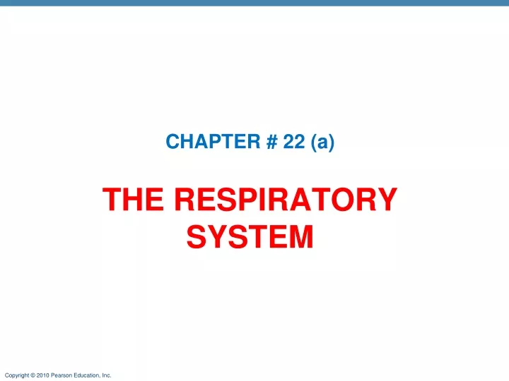 the respiratory system