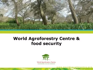 World Agroforestry Centre &amp; food security