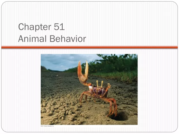 chapter 51 animal behavior