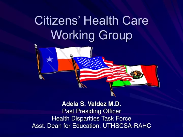 citizens health care working group