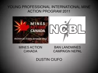 YOUNG PROFESSIONAL INTERNATIONAL MINE ACTION PROGRAM 2011