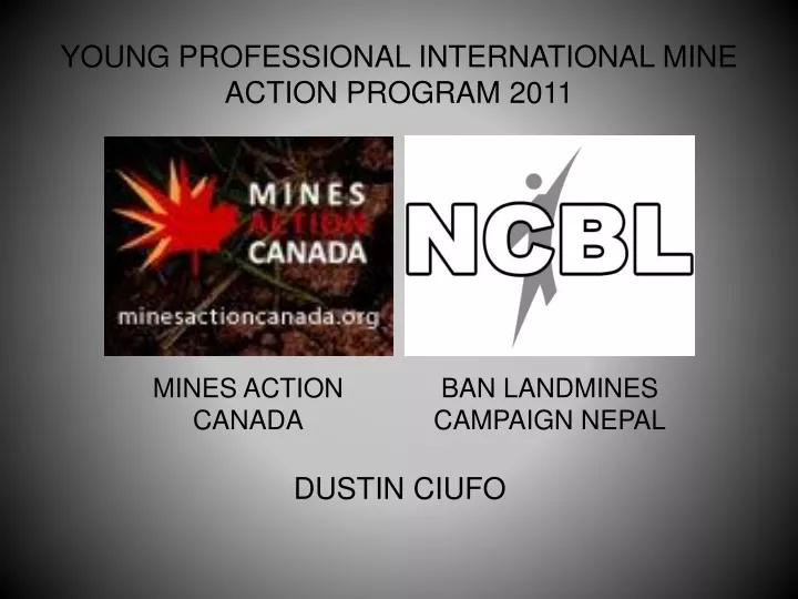 young professional international mine action program 2011