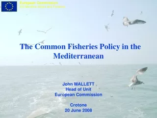 The Common Fisheries Policy in the Mediterranean