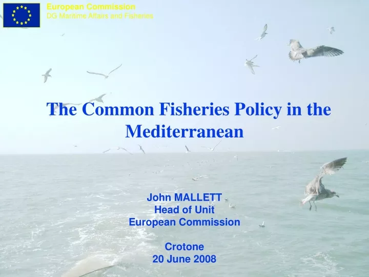 the common fisheries policy in the mediterranean