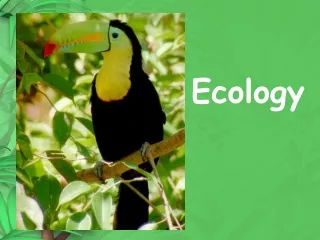 Ecology