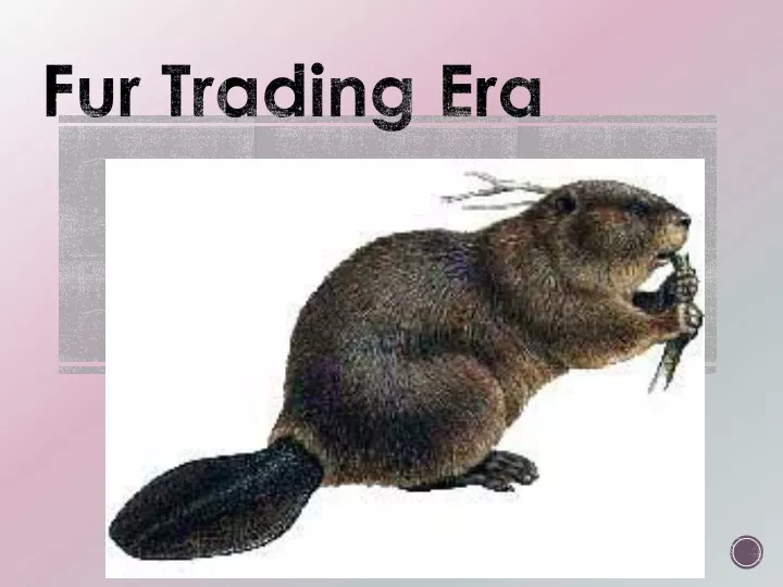 fur trading era