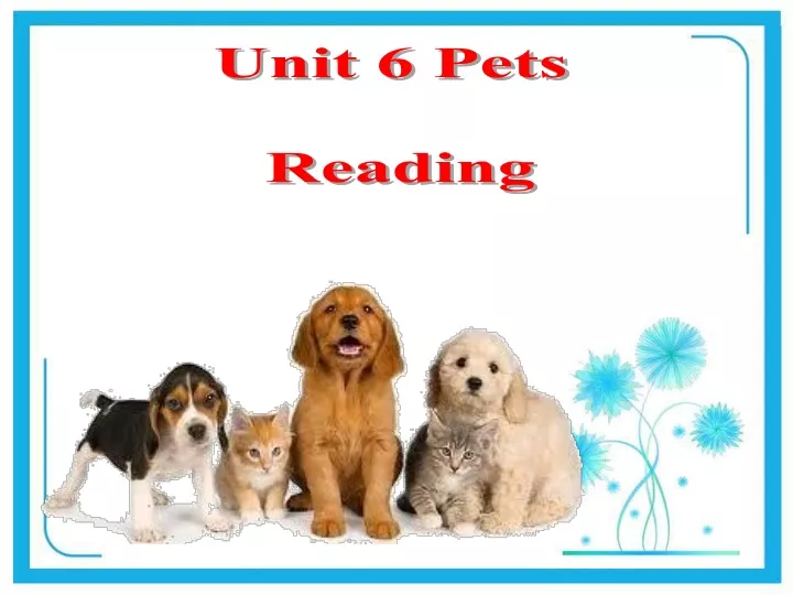 unit 6 pets reading