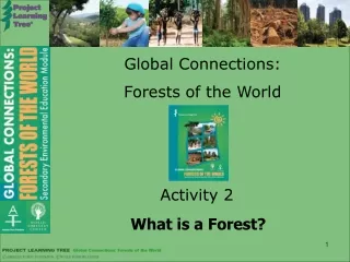 Global Connections: Forests of the World