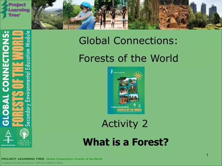global connections forests of the world