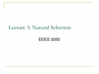 Lecture 3: Natural Selection