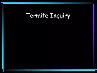 Termite Inquiry