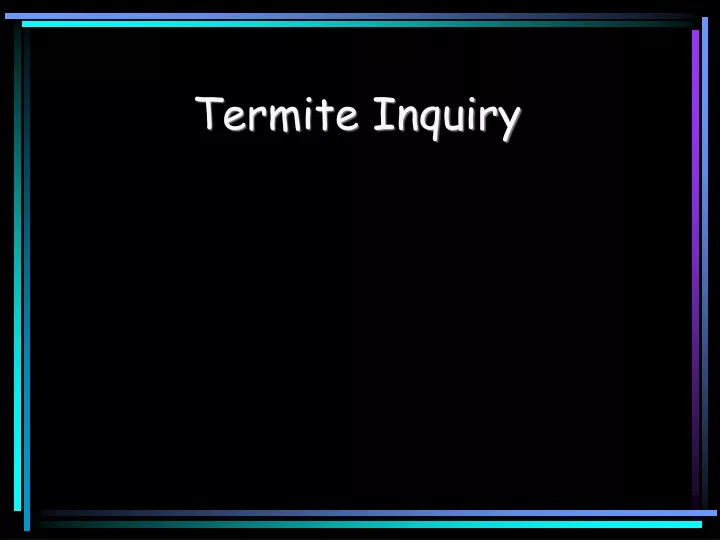 termite inquiry