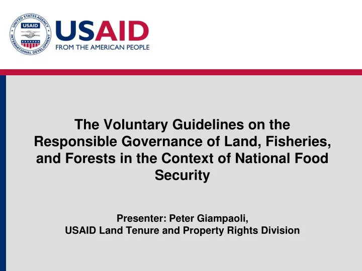 the voluntary guidelines on the responsible